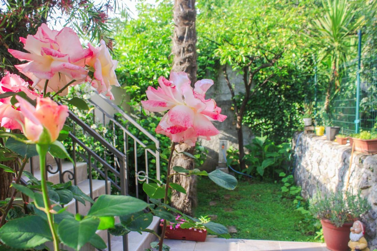 קוטור Sunny Bay Apartments מראה חיצוני תמונה